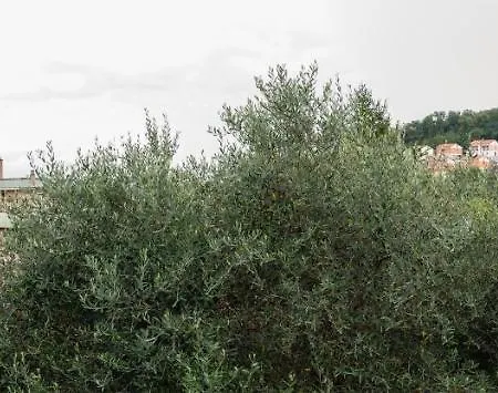 Wild Zagara Apartment *